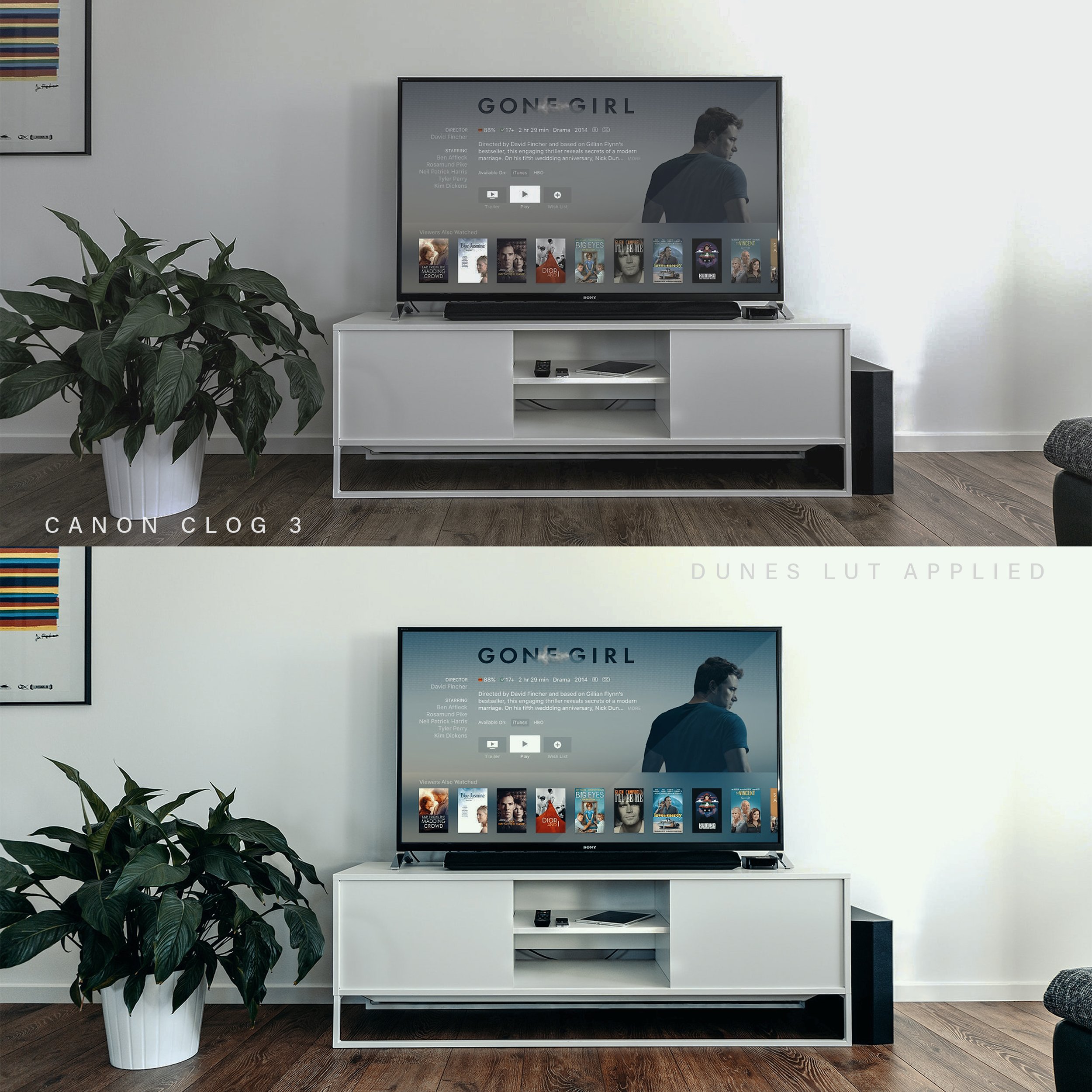 Canon_Cinematic_LUT_Pack_Interior_Example.jpg