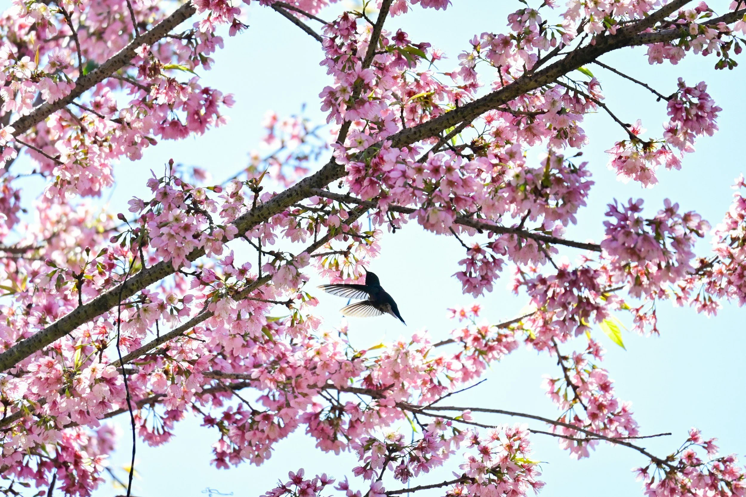 Set Healthy Boundaries and Reconnect With Yourself