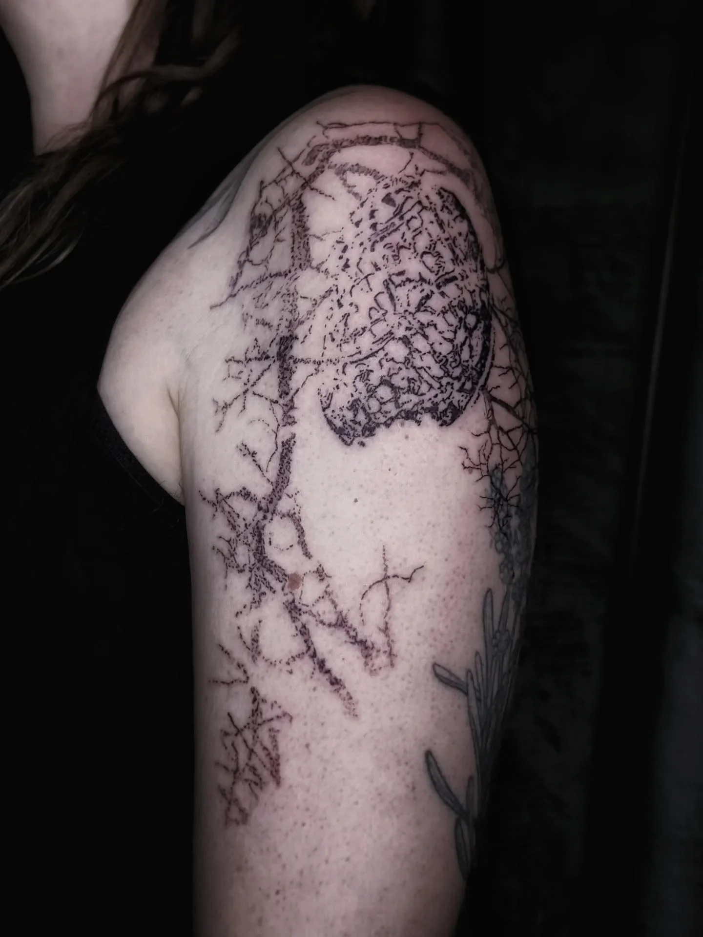 for my new friend @estefani_merril :3 top ten kindest people, very wise and also helpful and nice
done at the lovely @studio.scanners