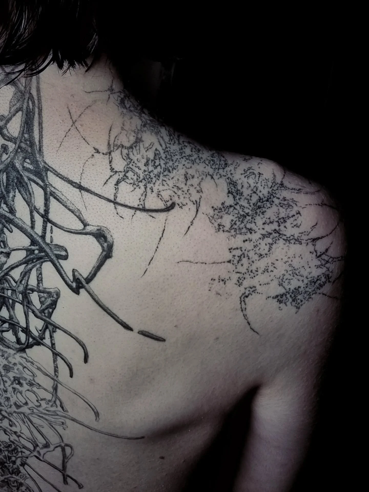 healed shoulders and fresh knee - spike dealer
done at @studio.scanners