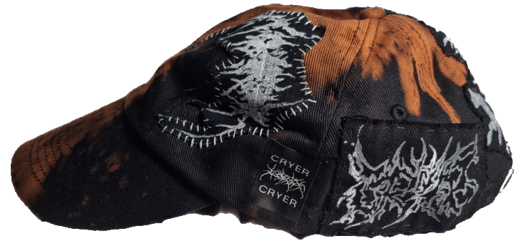 Cap with tiger graphic and logo patches