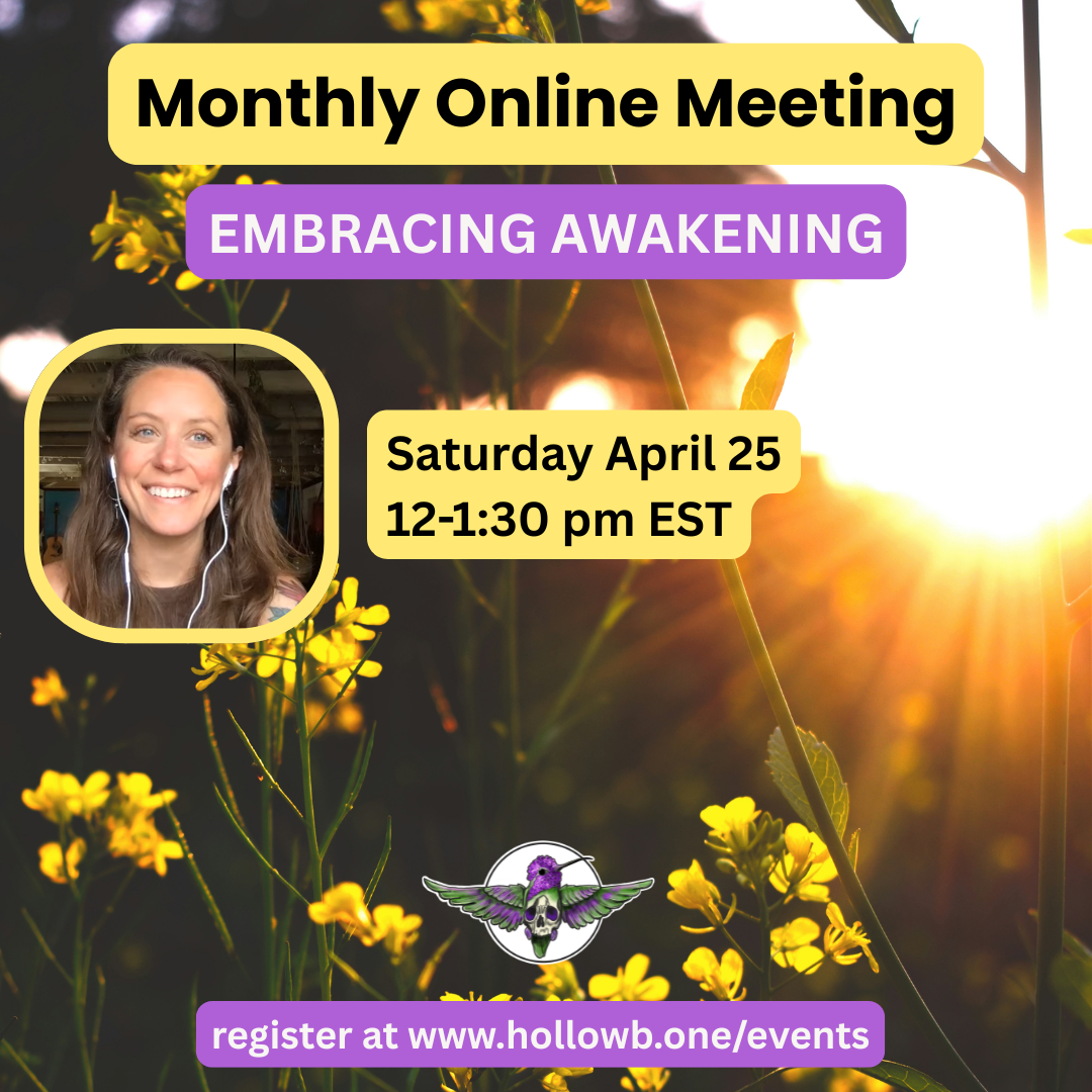 Monthly Online Zoom Meeting