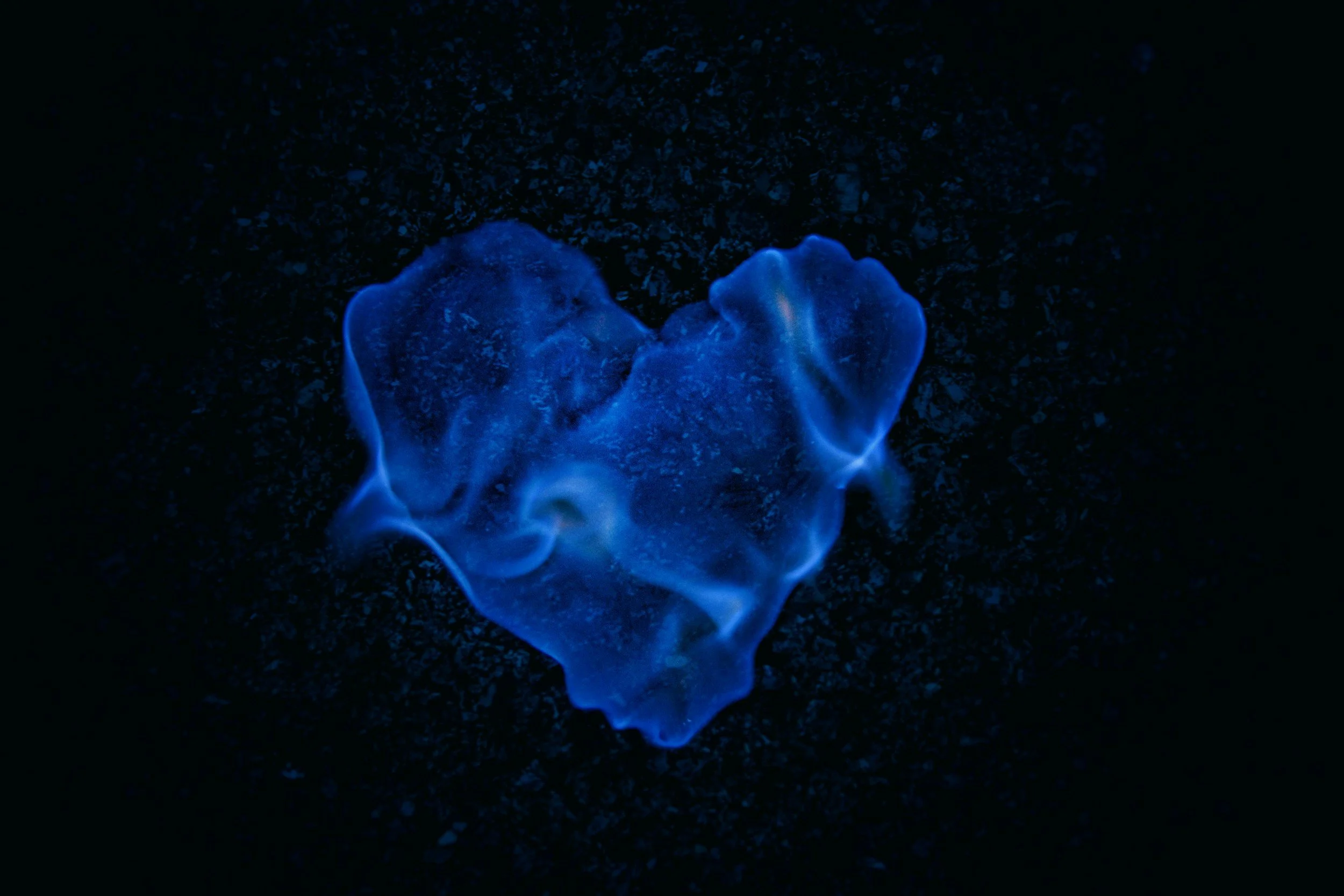 Heart on Fire