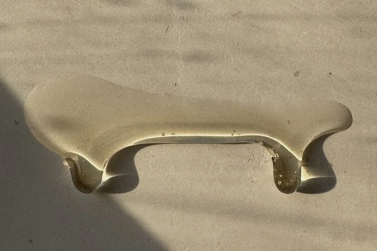 The Sebaceous Gland: The Most Misunderstood Structure in Skin Health