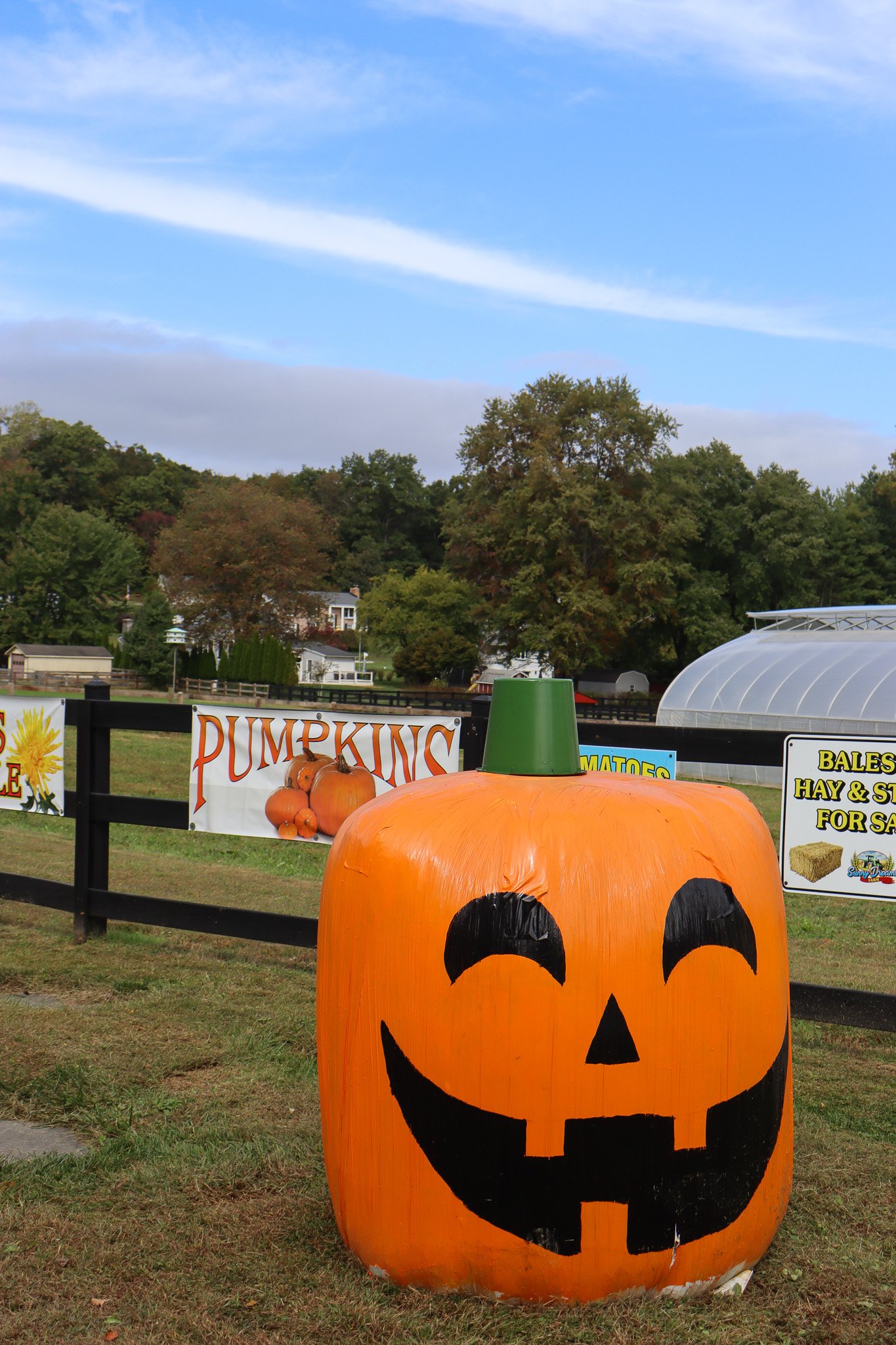 A row of pumpkins and fall signage outside the Sunny Dreams Farm produce stand in Bel Air Maryland.
