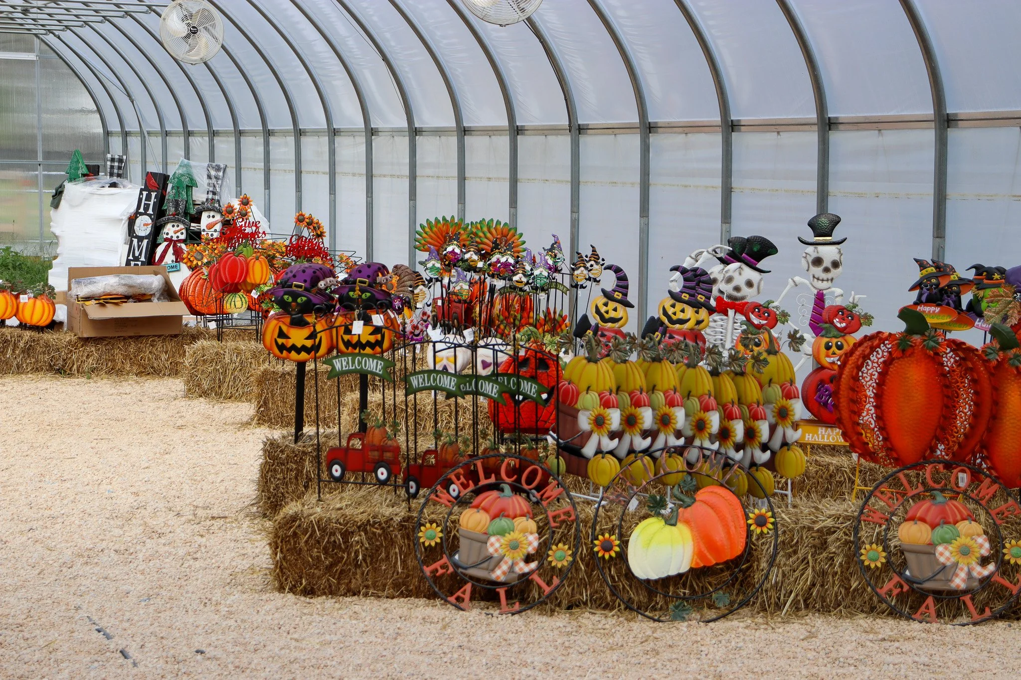 A greenhouse filled with fall decorations, pumpkins and metal garden art at Sunny Dreams Farm.