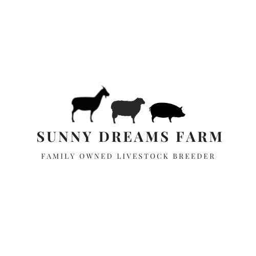 Sunny Dreams Farm