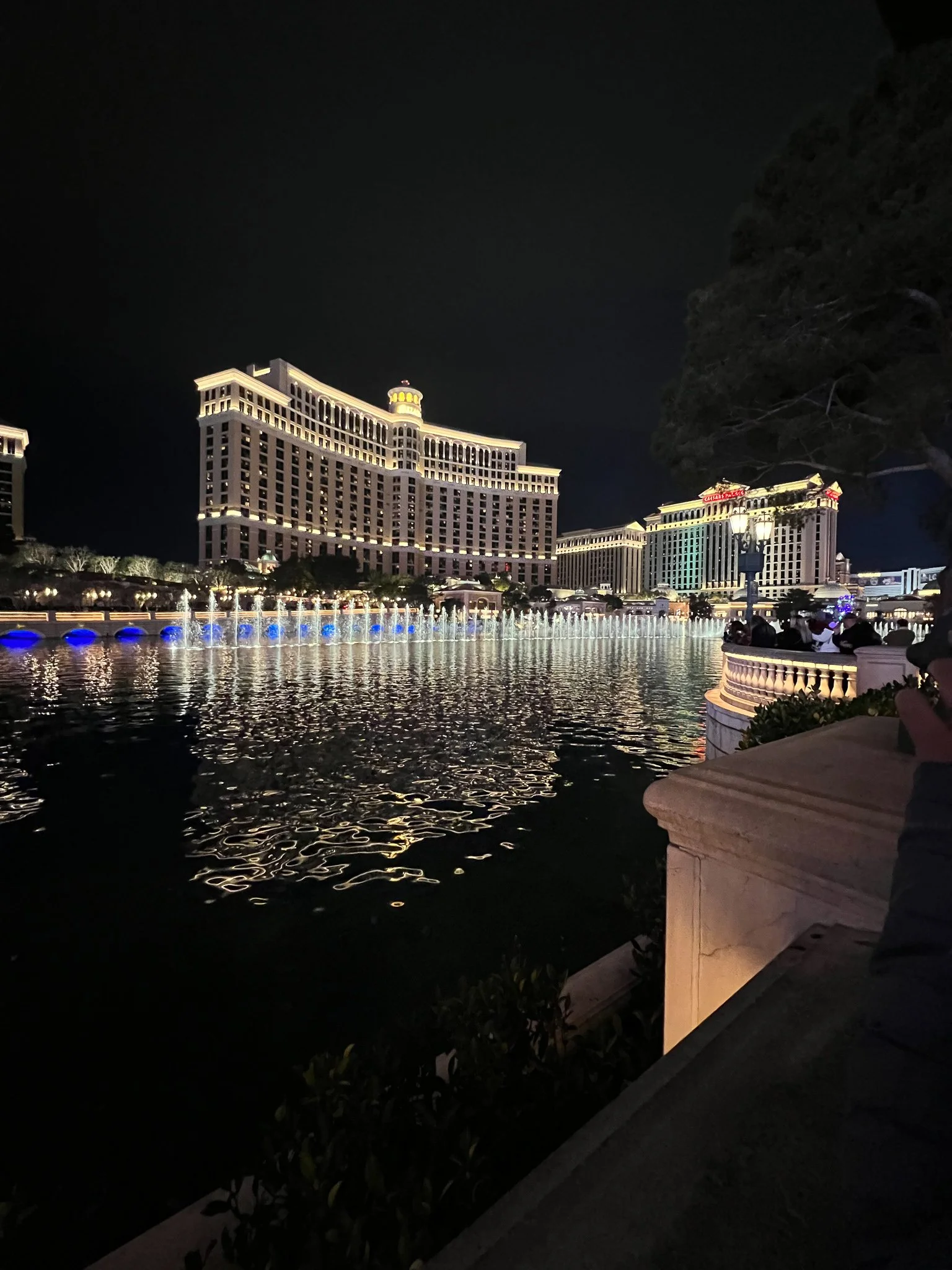 Night view of an illuminated hotel building beside a body of water with light reflections, possibly a fountain in the foreground, and trees on the right.