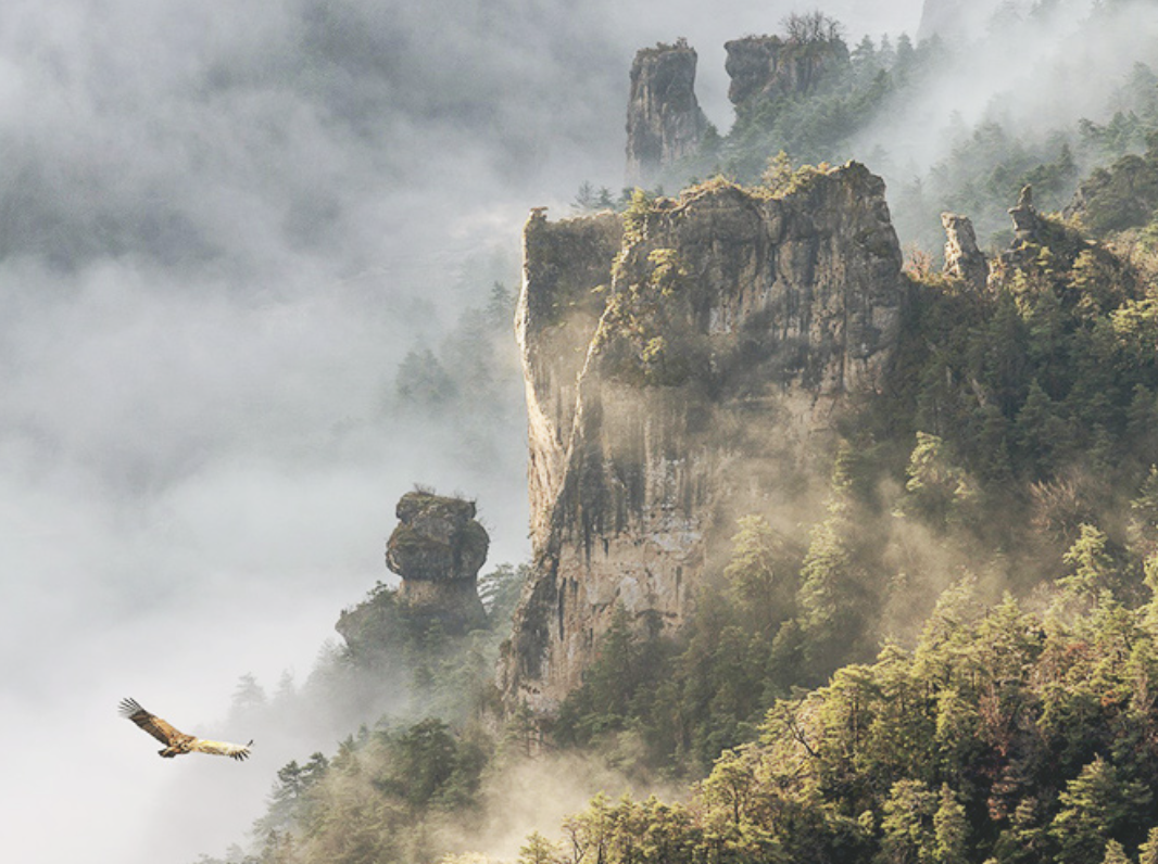 Screenshot 2025-11-30 at 1.43.26 PM.png