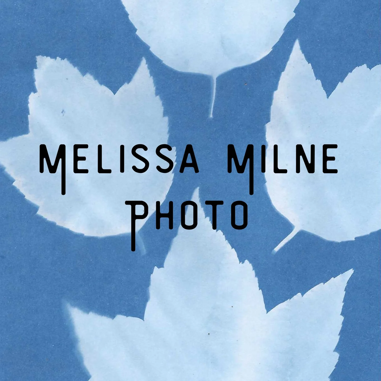 Melissa Milne - Documentary Vancouver Island Wedding &amp; Family Photographer