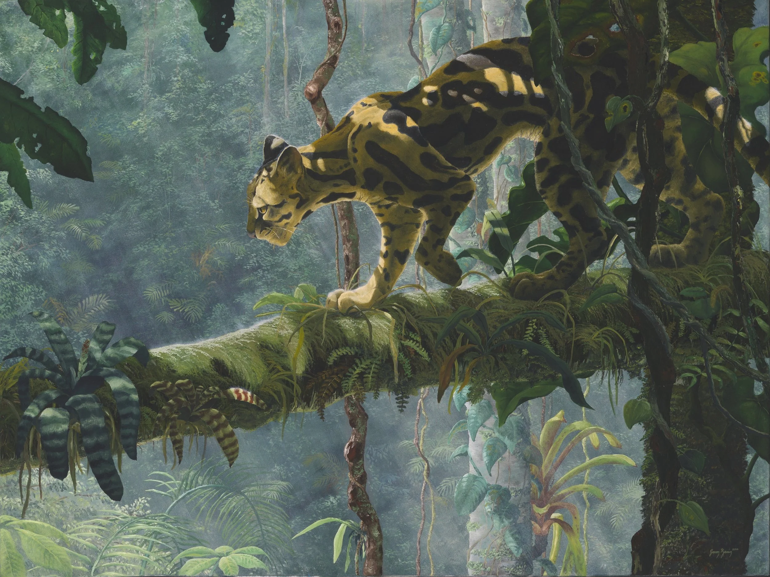 Shadows of Panama (Margay) - Oil - 36x48 (SOLD)