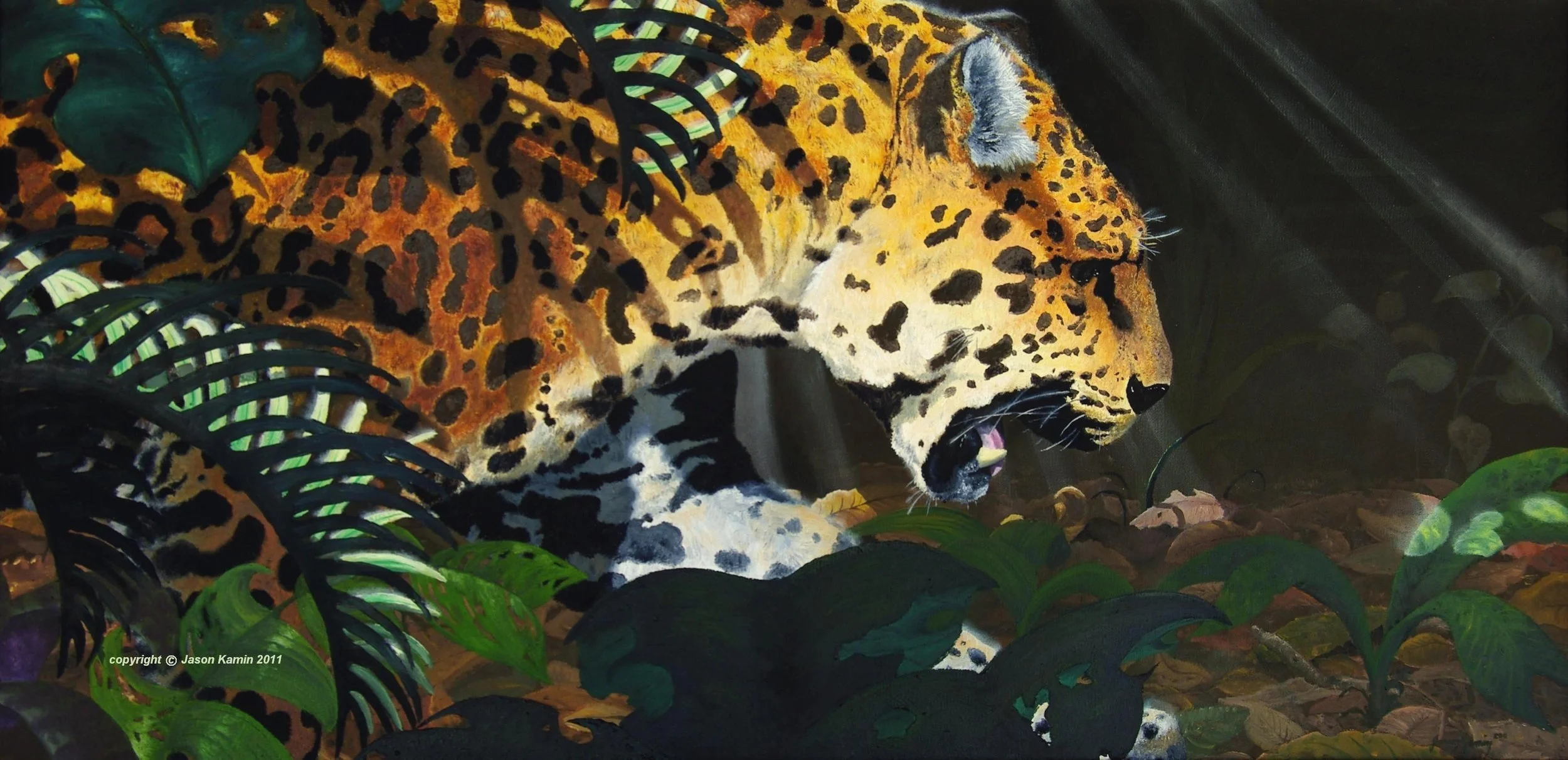 Panthera onca - Oil - 15x30