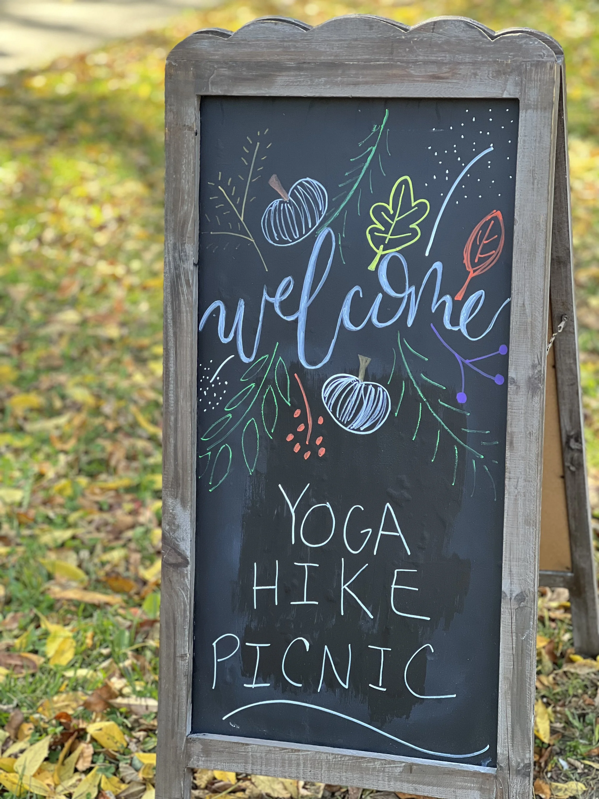 YOGA | HIKE | PICNIC - Half Day Holistic Wellness Retreat