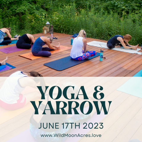 Yoga &amp; Yarrow
