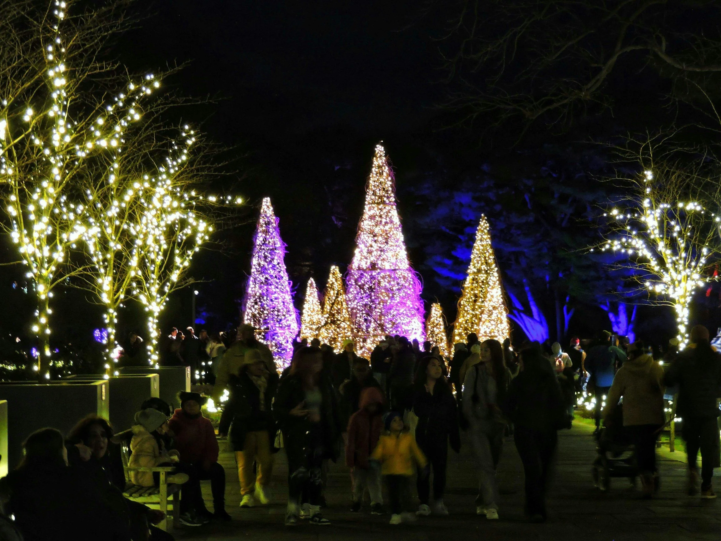 Dinner Before Tallahassee's Winter Festival | The Edison