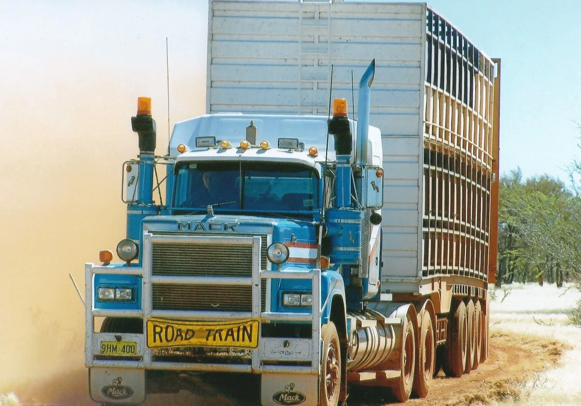 Ed driving one of John Leeds trucks Roy Hill Station 2015.jpg