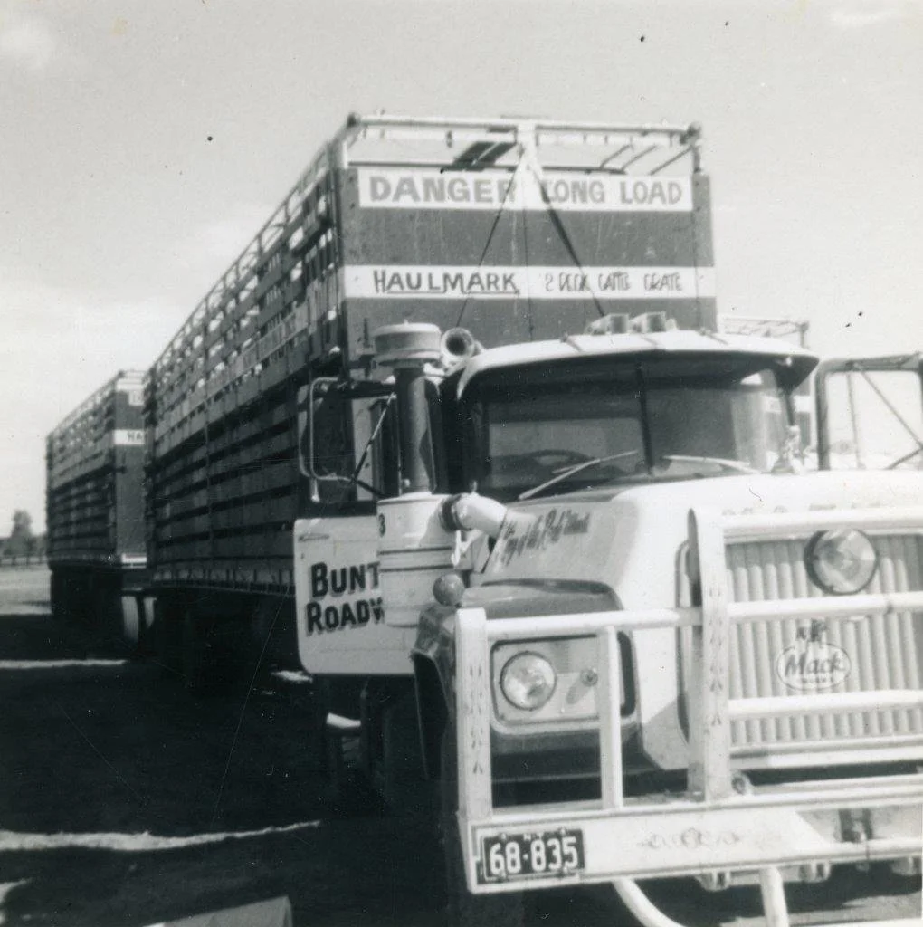 Bull046.jpg