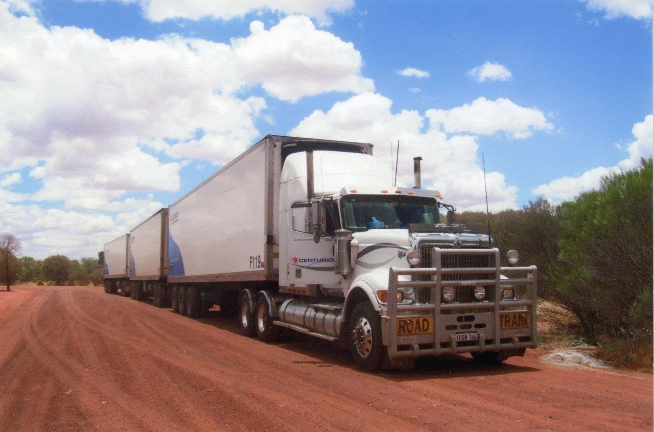Bull048.jpg