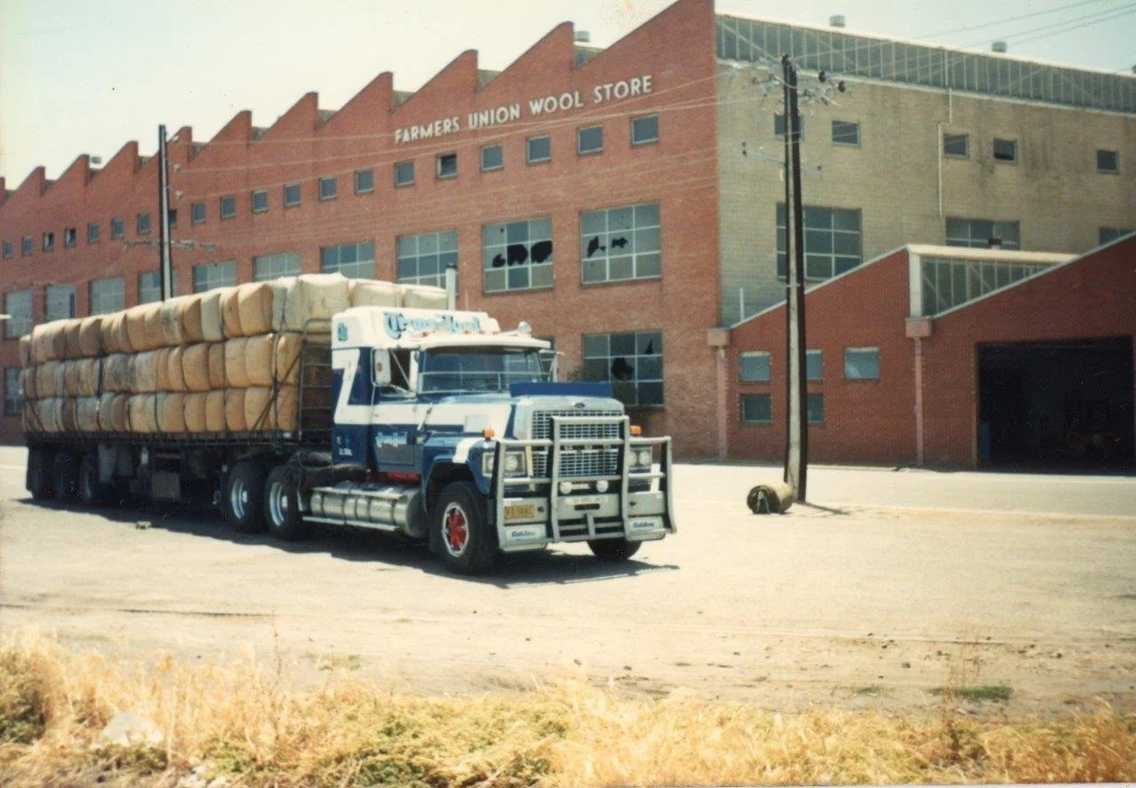 Bull053.jpg