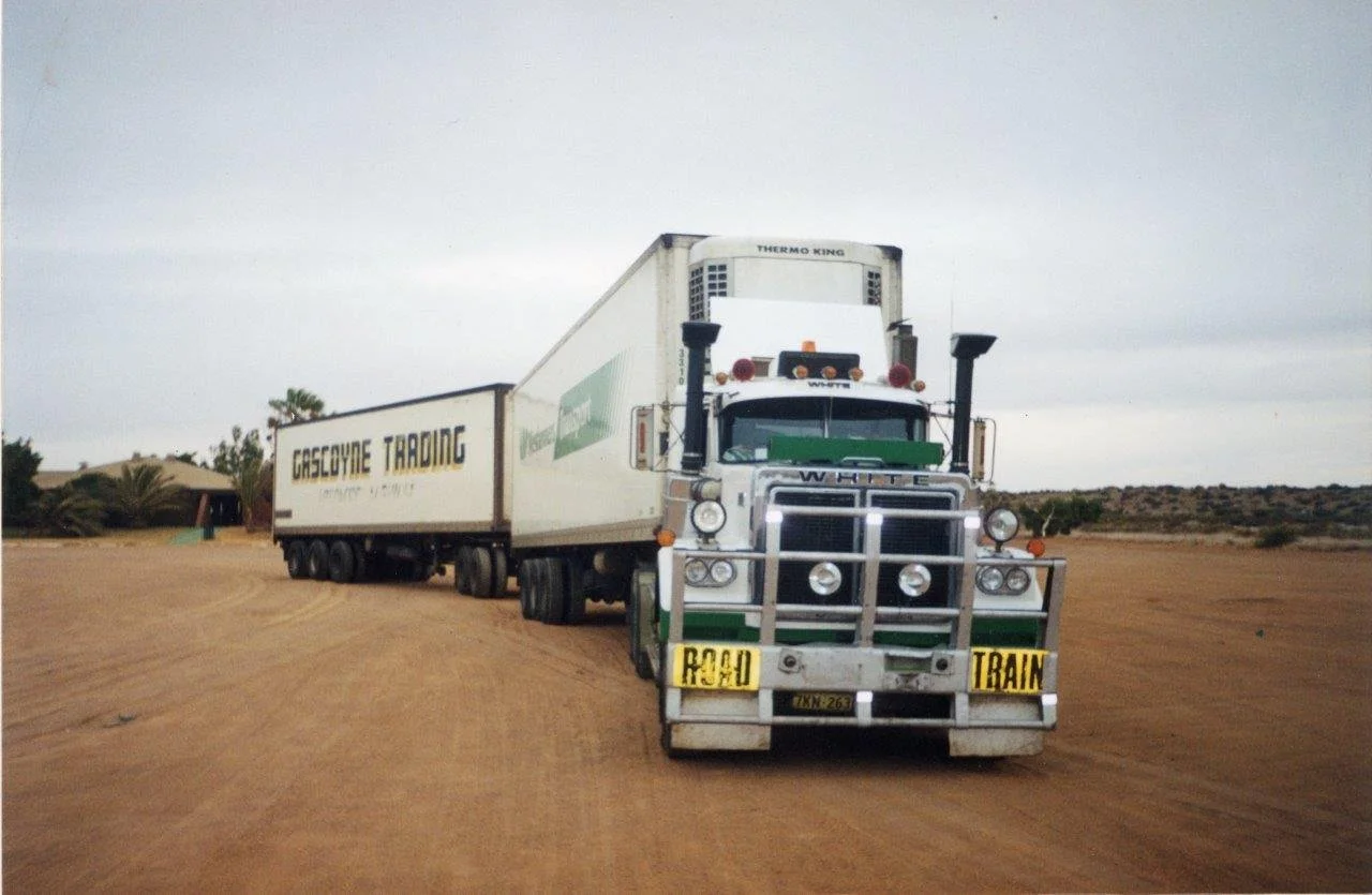 Bull054.jpg