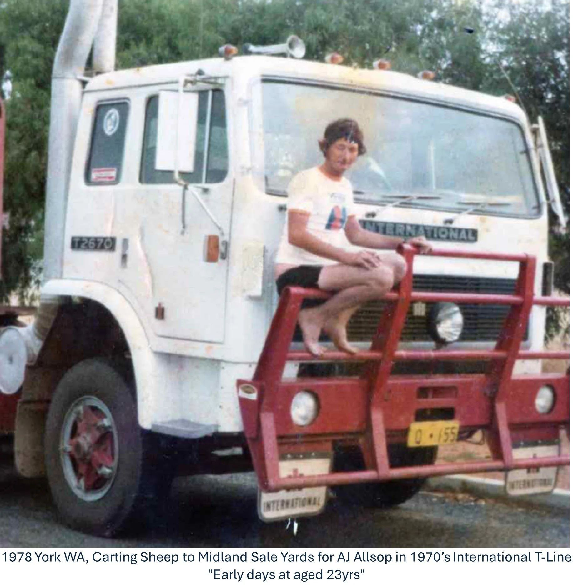 1978 York Sheep days .jpg