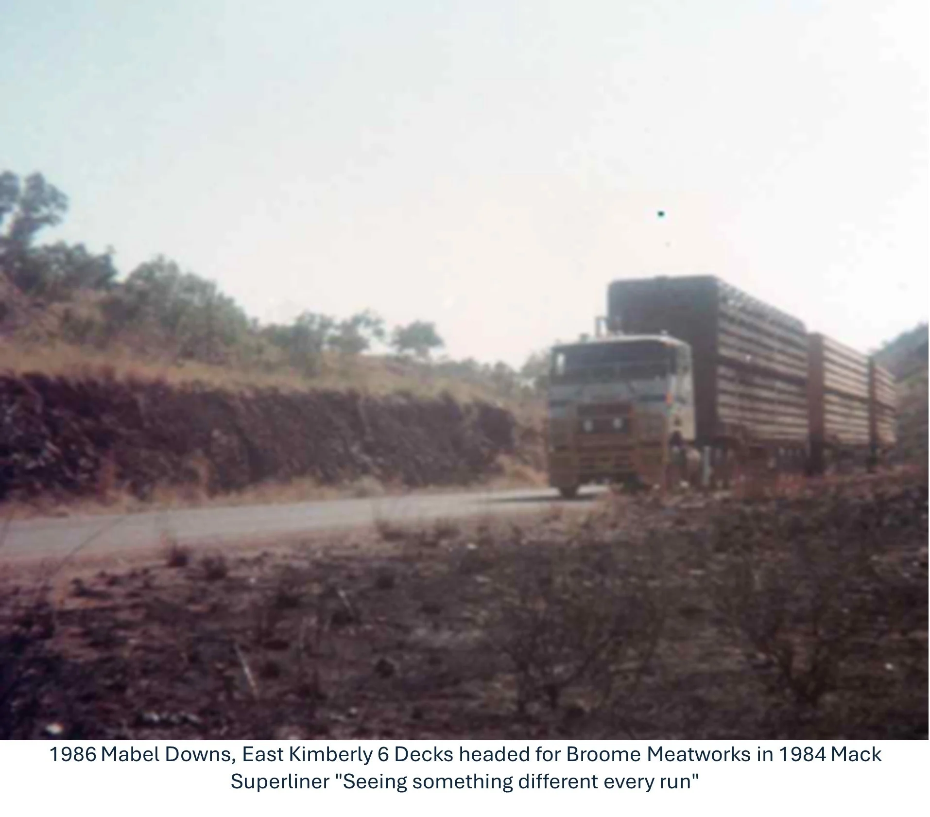 1986 mabel downs .jpg