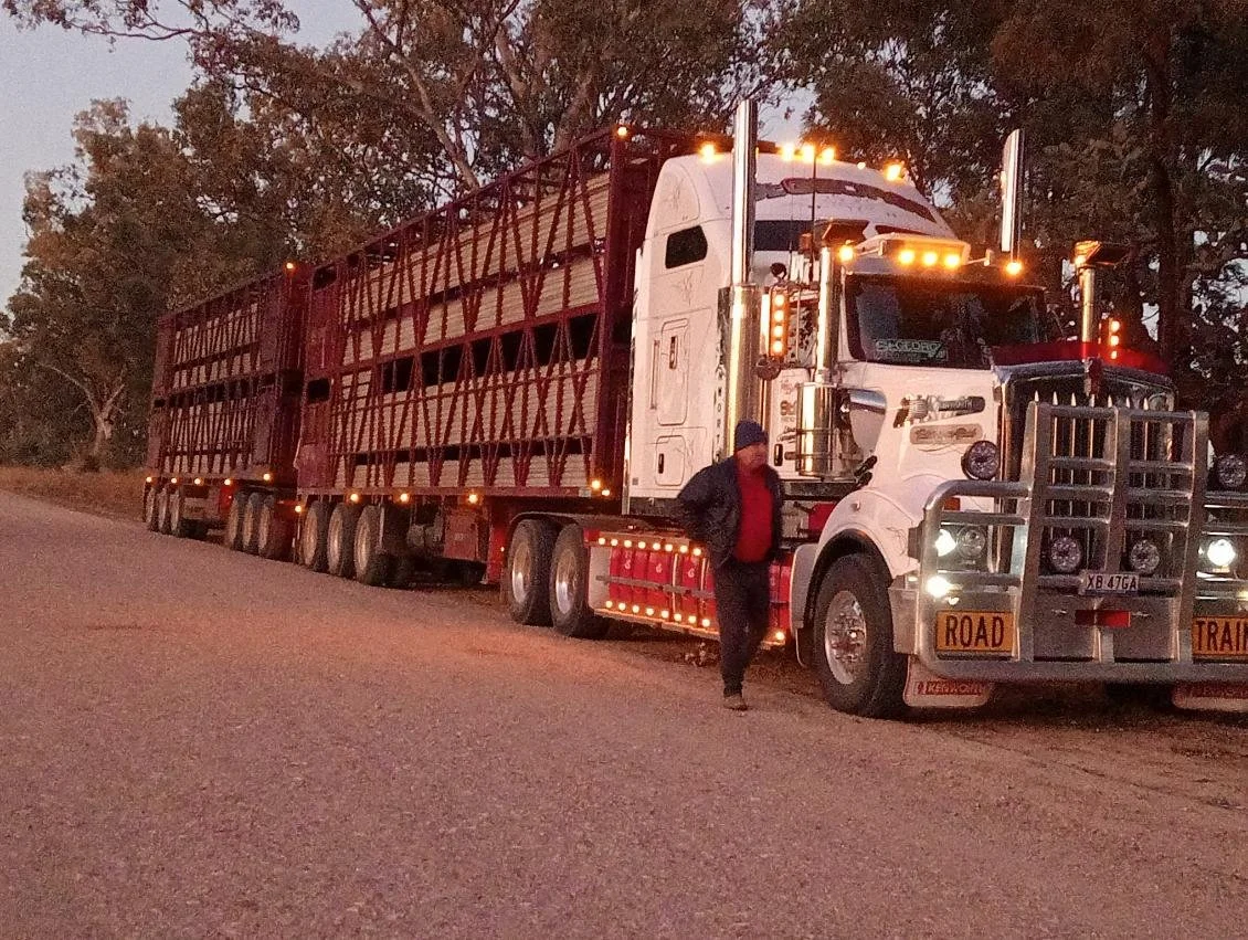 Another cold day.jpeg