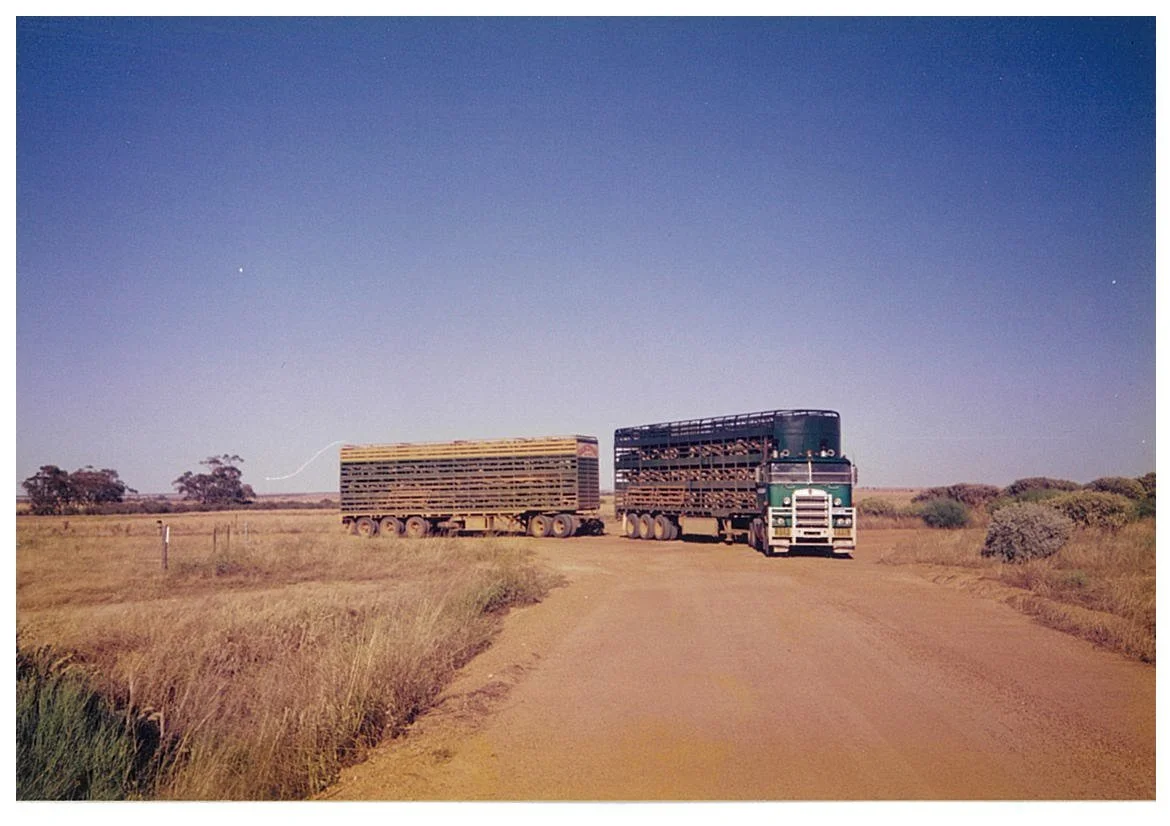 Perenjori '99.jpg