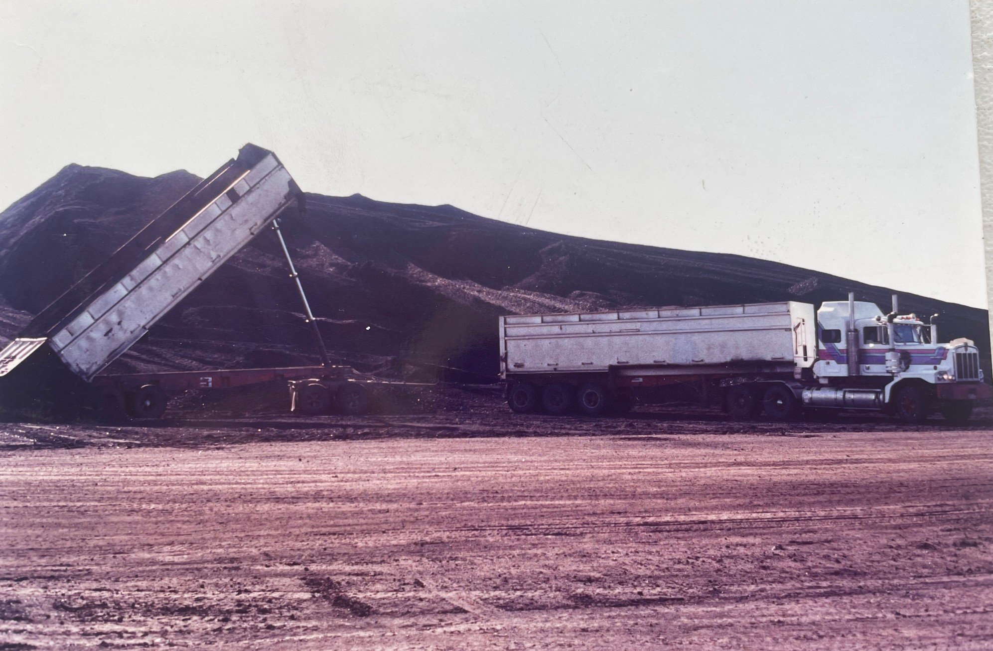 Eliza Forina - Boonal.jpg