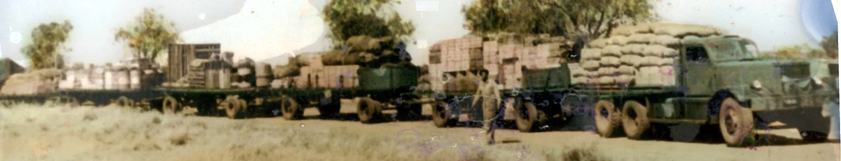 McConville Harry2.jpg