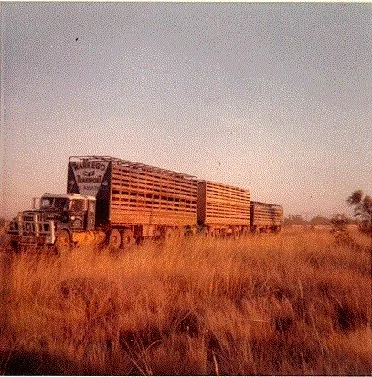 lyn Baskett White 4000.jpg