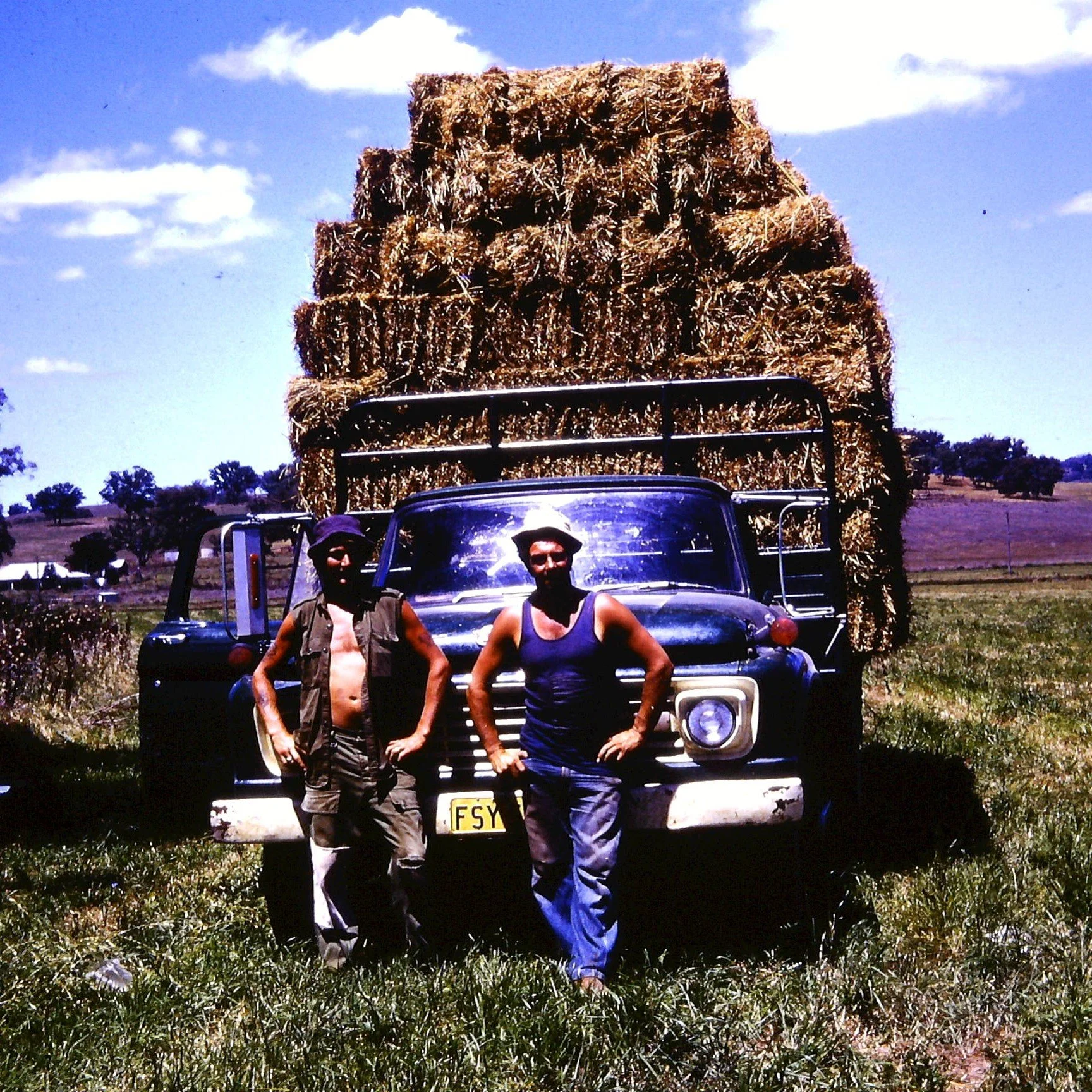 guymer 2015-09-23_574 (2).JPG