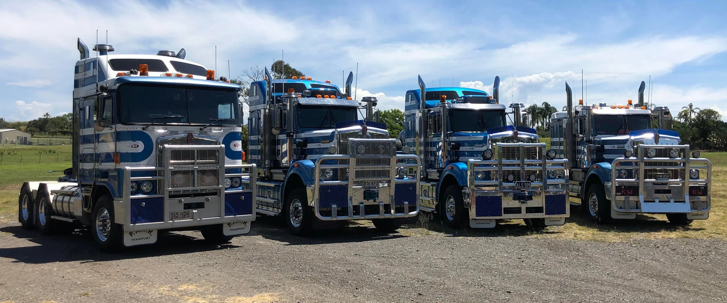 primo 2 IMG_8765.jpg