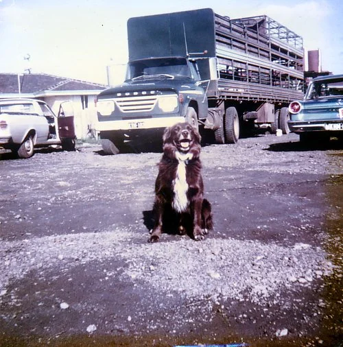 Fred wilson First Truck and Butch.jpg