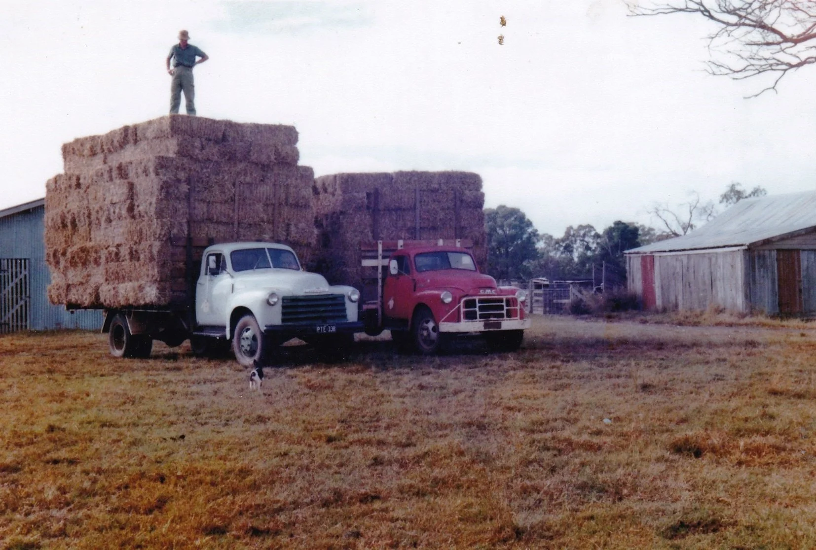 STEINHARDT, Neil, pic 1.jpg