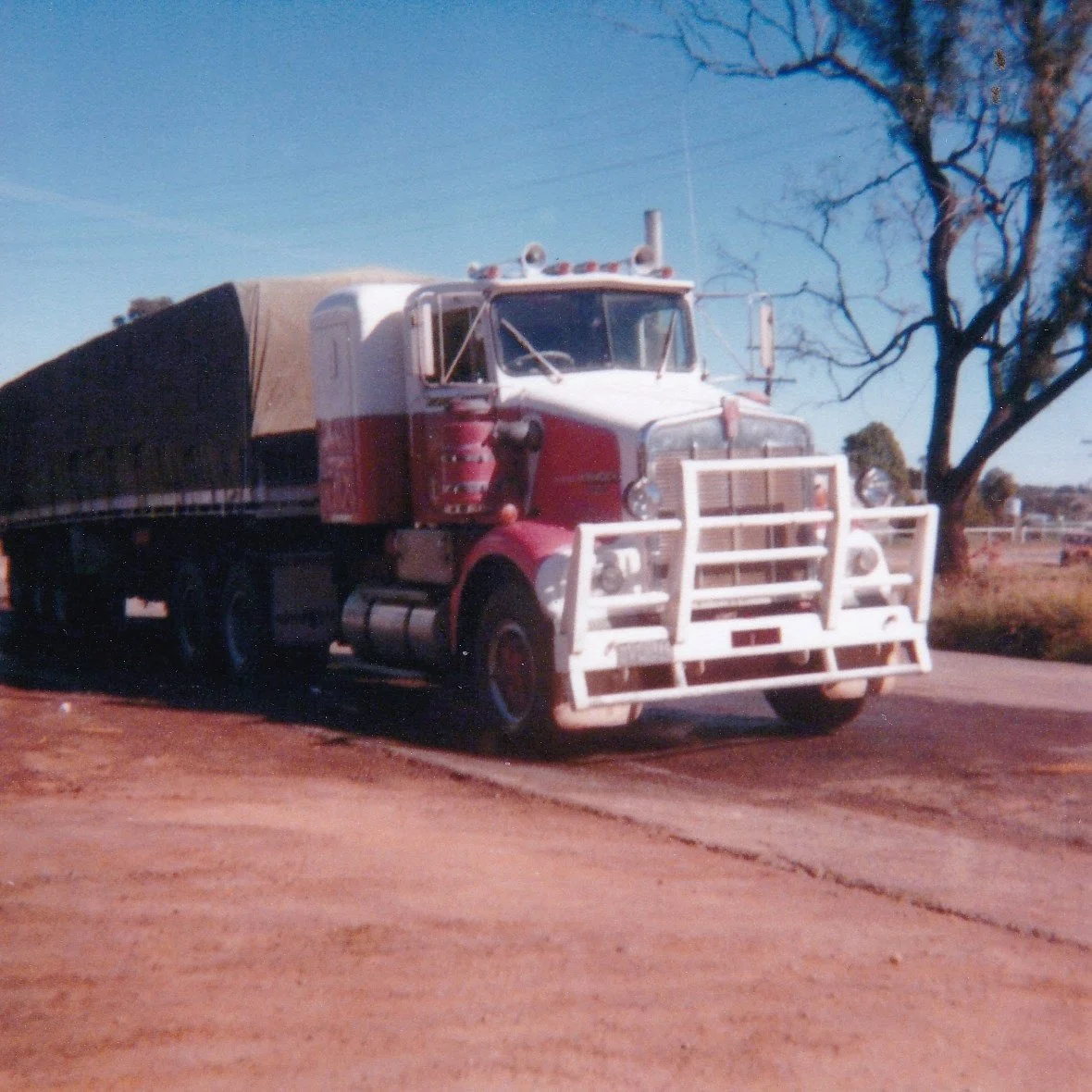 STEINHARDT neil 2.jpg