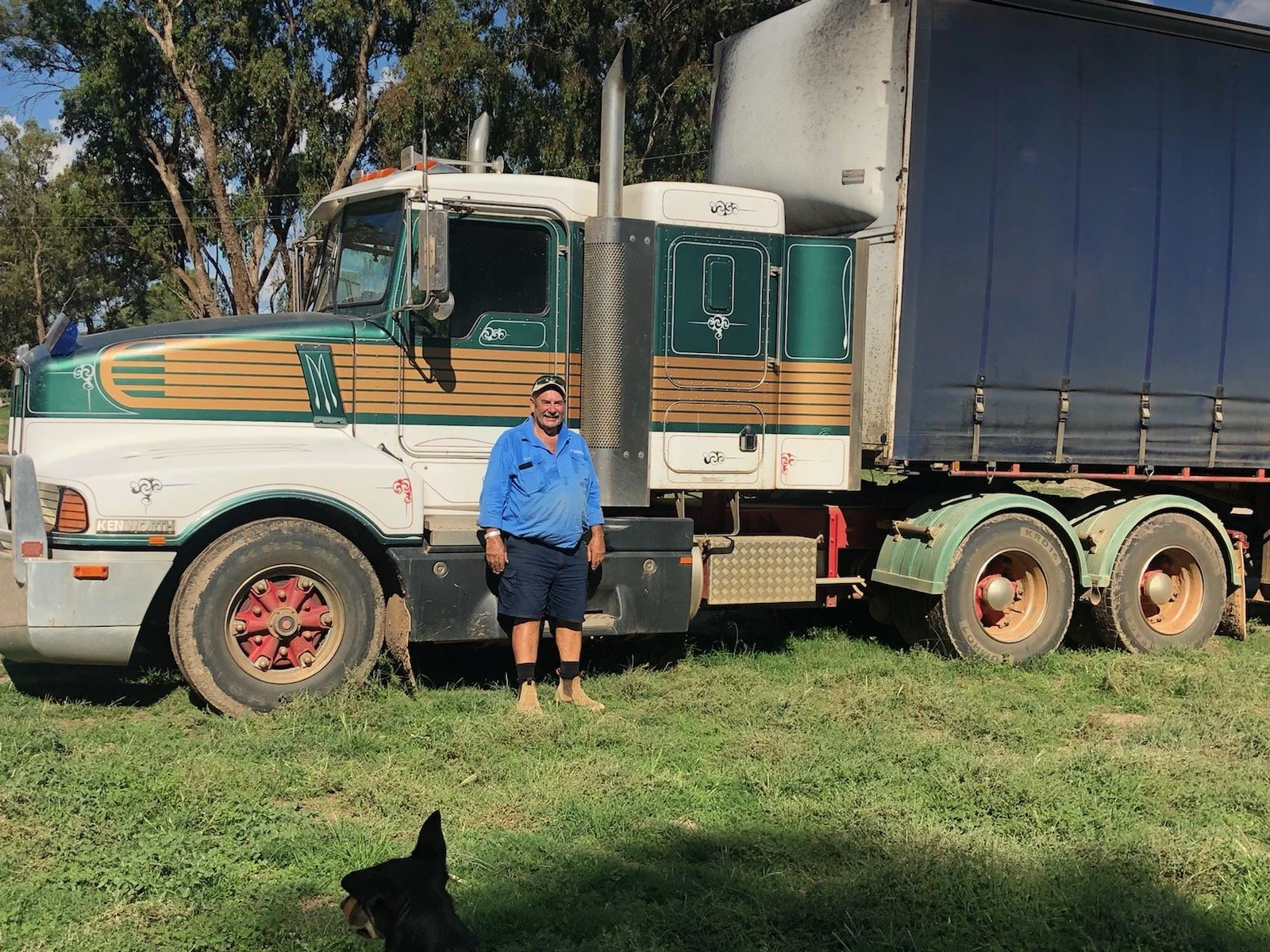 David Sutton Wool.jpg