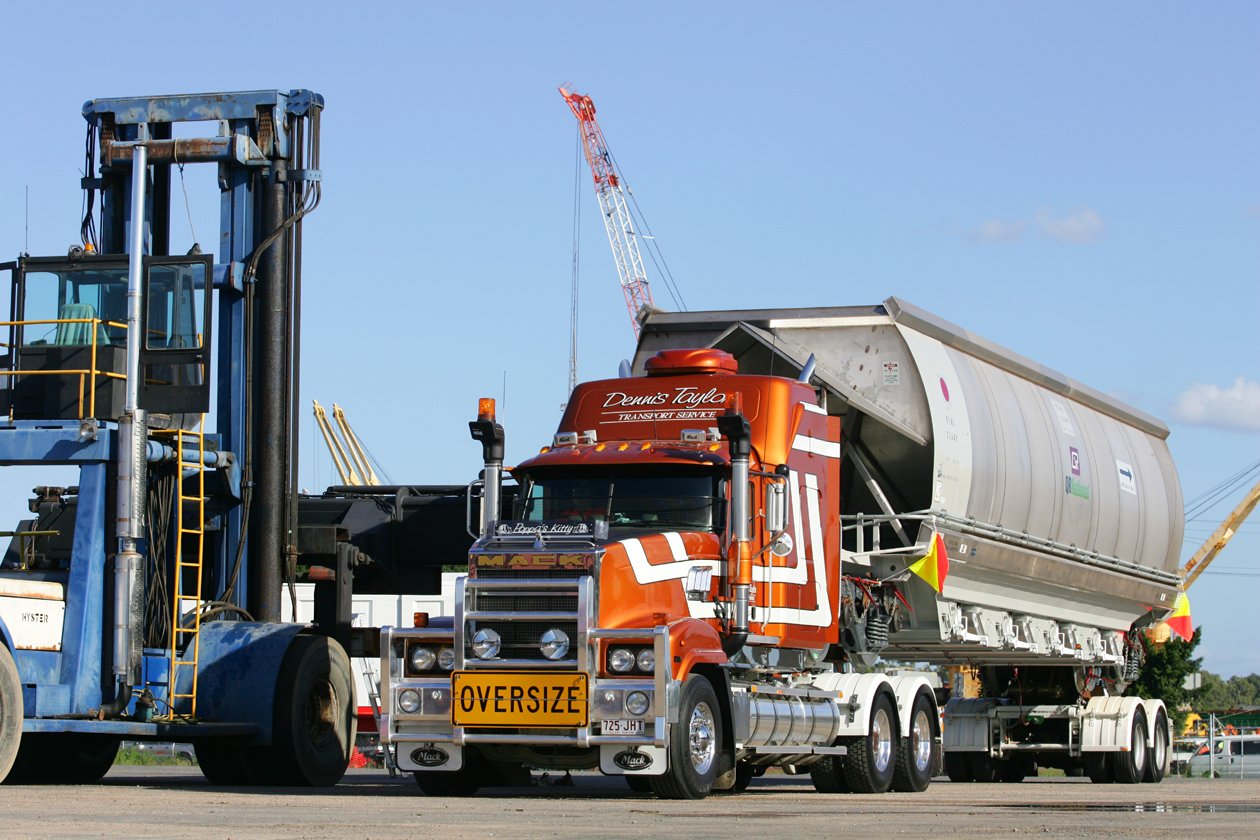 dennis taylor Poppas Kitty QR.jpg