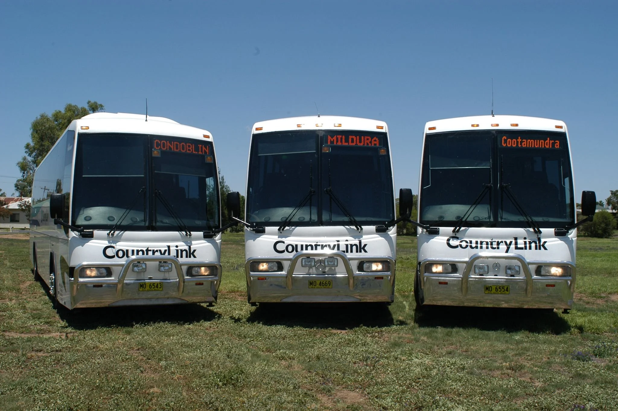 purtill Geoffs 3 coaches all together 2014_n.jpg