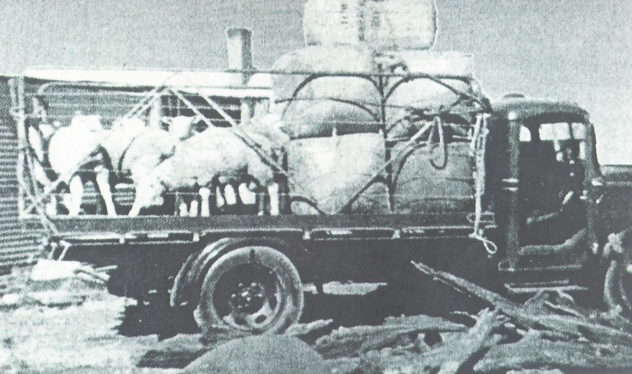 Rasmussen Paul 2.jpg