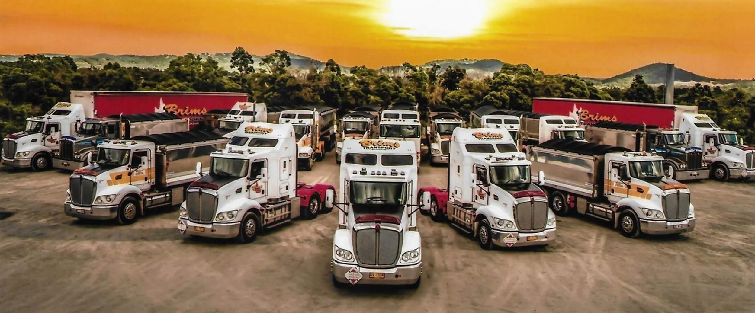 BRIMS Ross Fleet.jpg