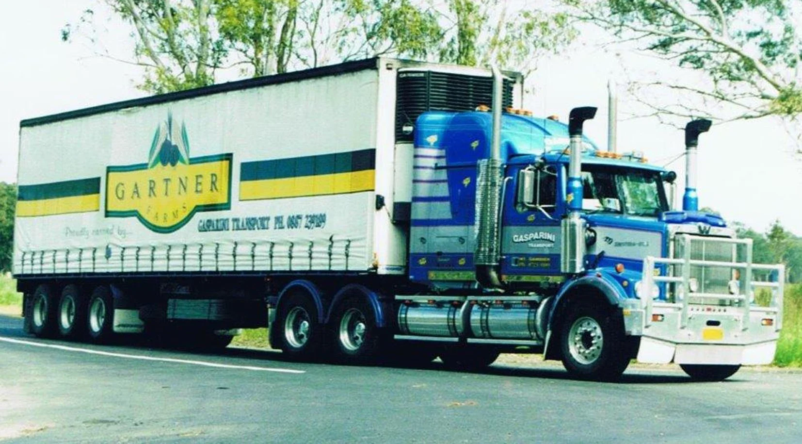 BURROWSalfwesternstar.jpg