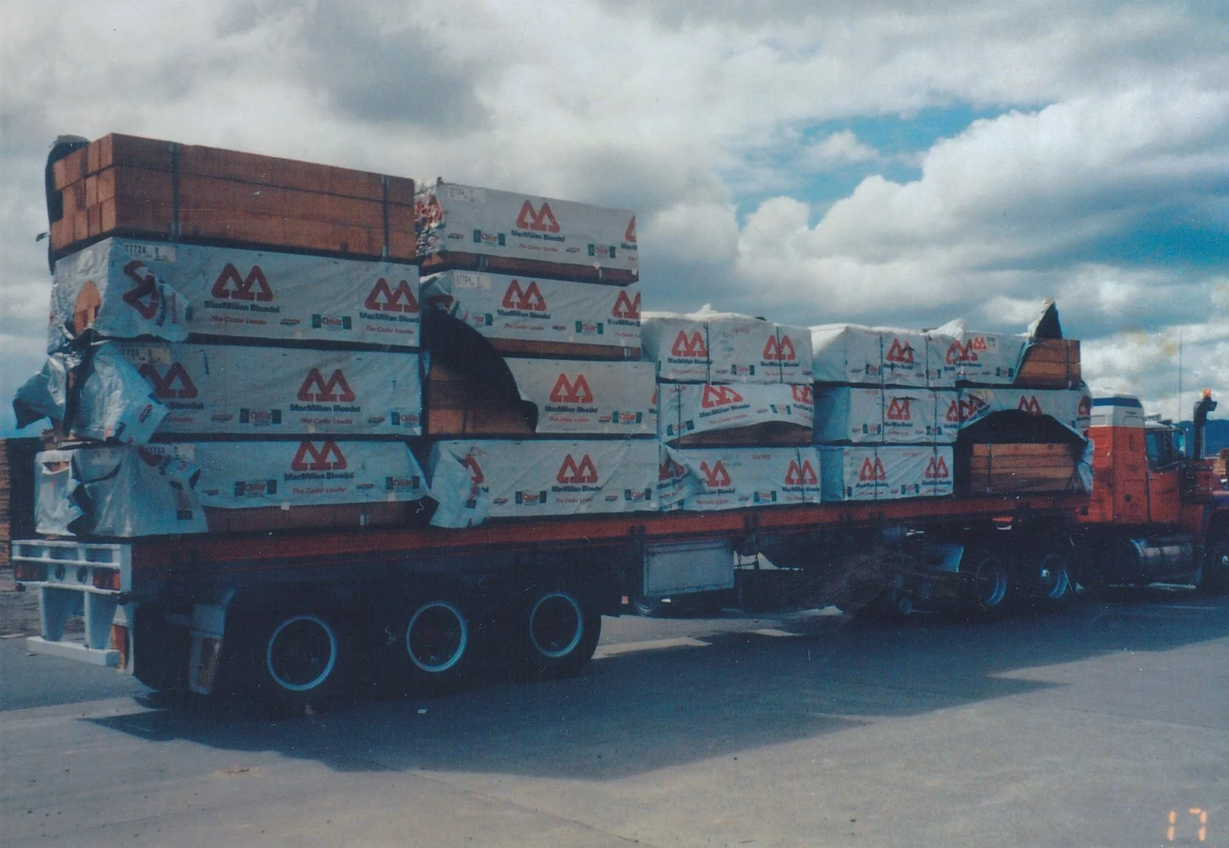 BERTACCHINIpetercedartimber.jpg