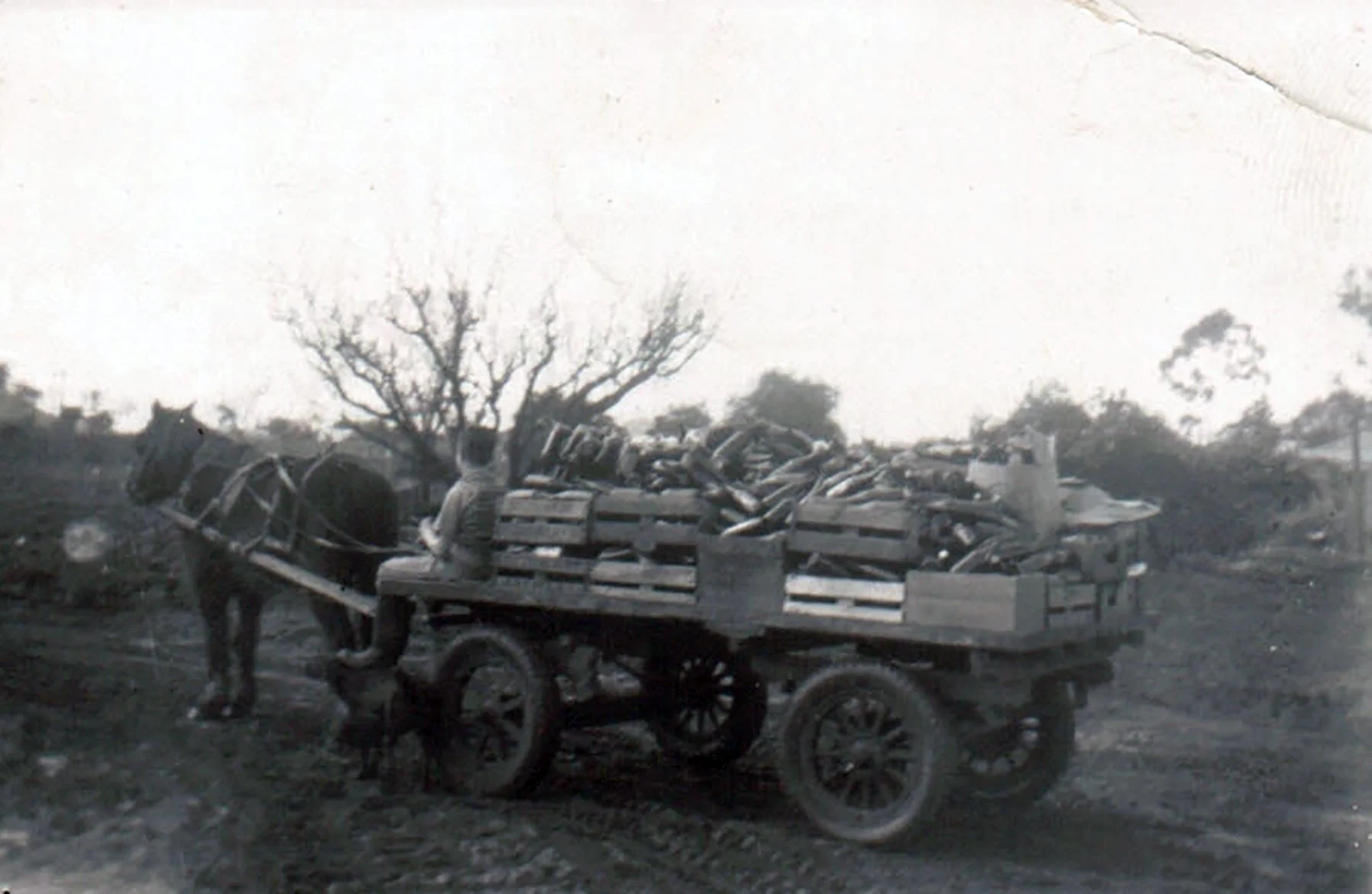 ALPENErichorsencart.jpg