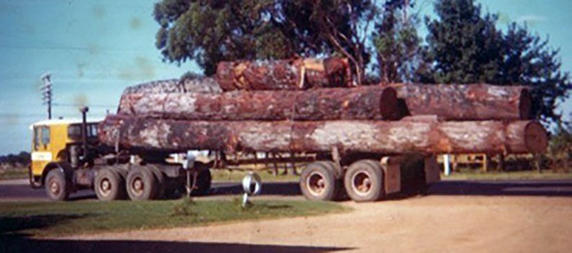 GUTHRIE douglaslogtruck.jpg