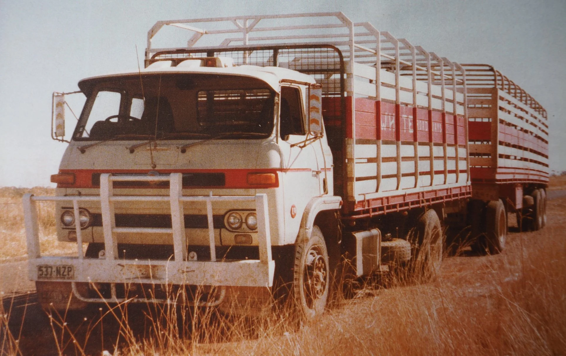 WHITEshanetruck.jpg