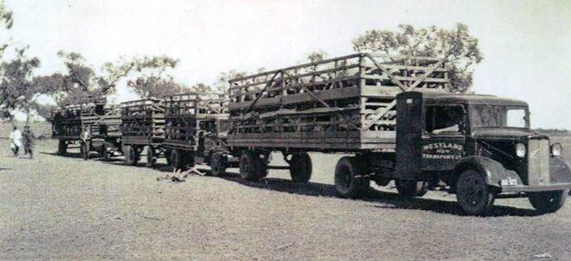 wood ralph 6.jpg