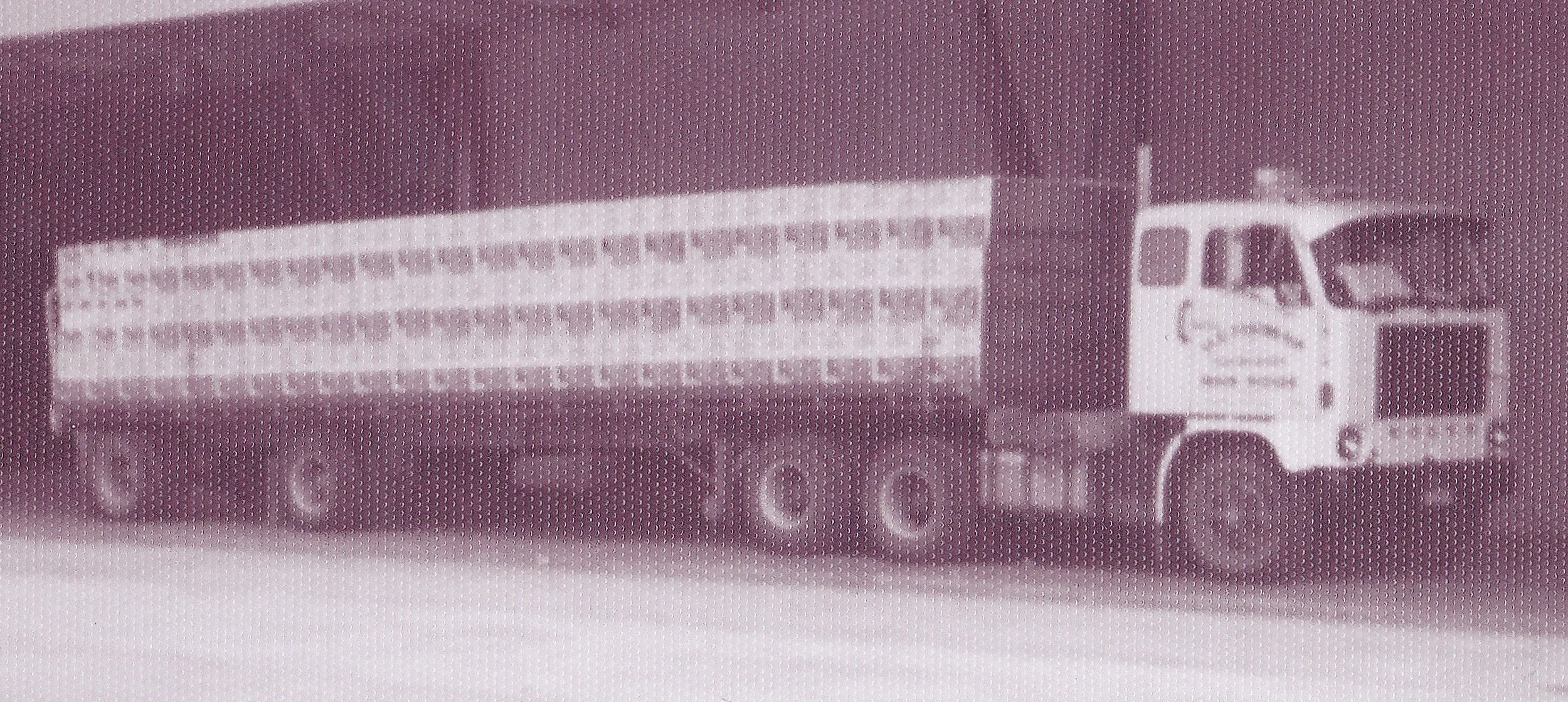 THOMASerniefruit.jpg