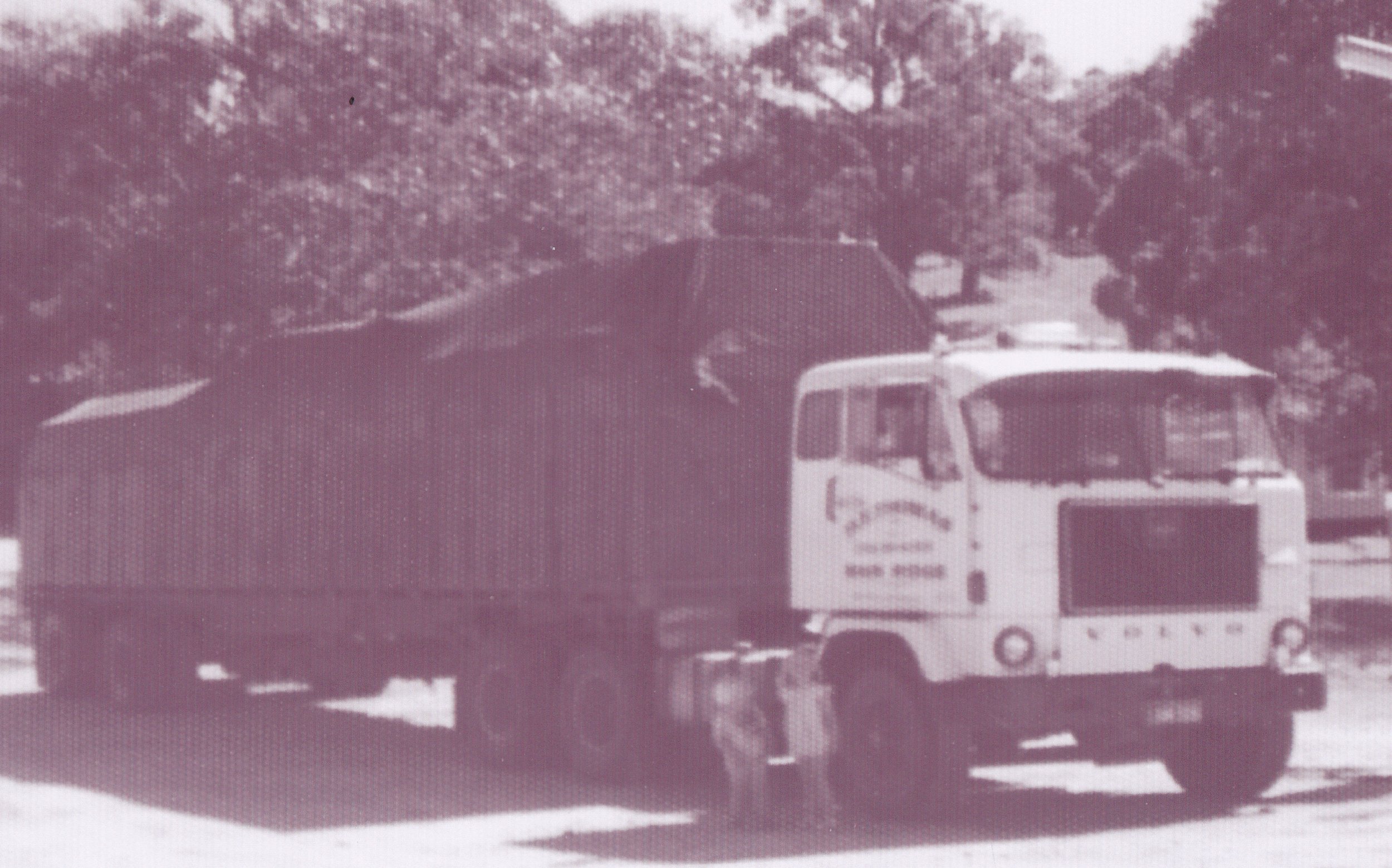 THOMASerniefreight.jpg