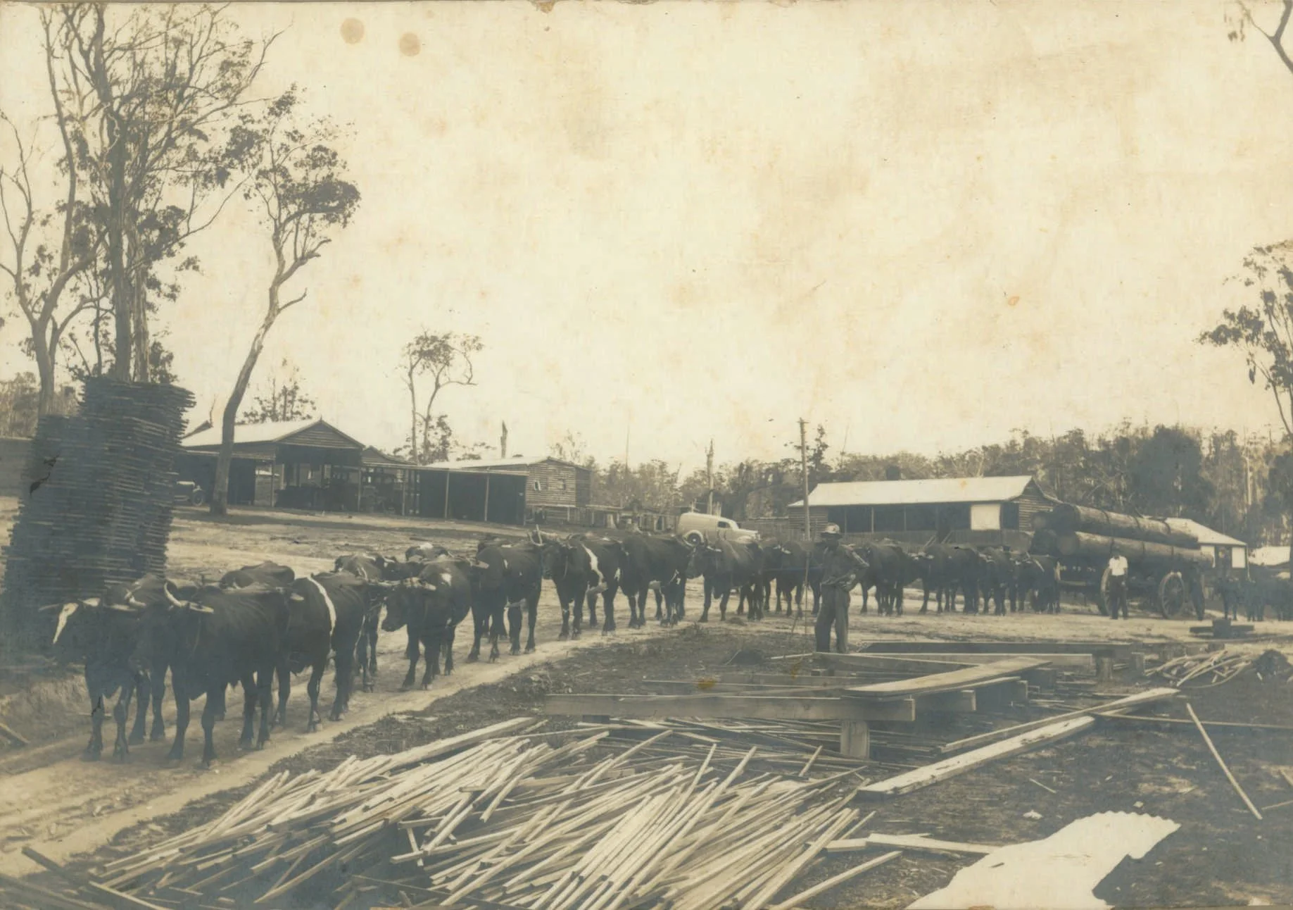 BATSON PHOTO 1.jpg